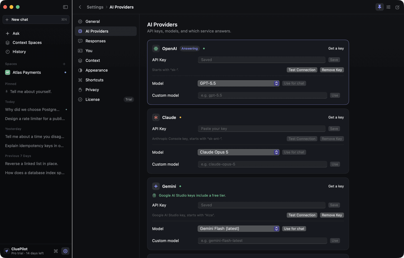 Settings ▸ AI Providers: each provider's key status, model and connection test.